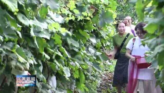 永善县农旅结合打造明子山七彩田园