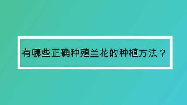 有哪些正确种殖兰花的种植方法?