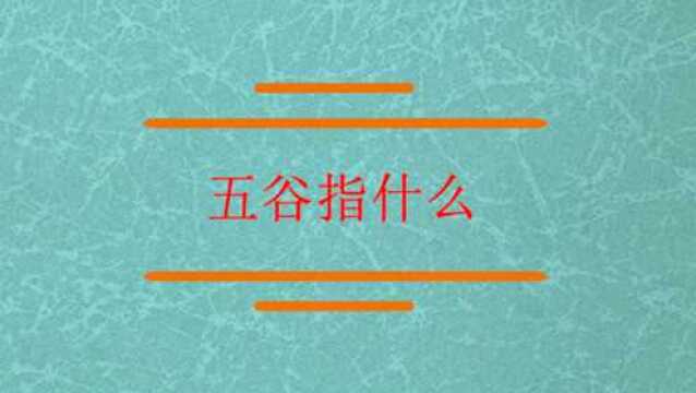 知道五谷是指什么哪五谷?