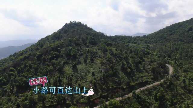 无人机镜头下发现厦门岛外一处自然景色,文山美景区