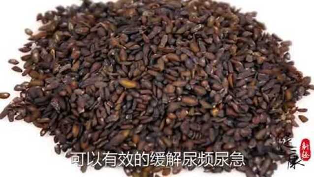 妇科炎症最“讨厌”,1味中药管管它,杀菌消炎,让你无炎一身轻