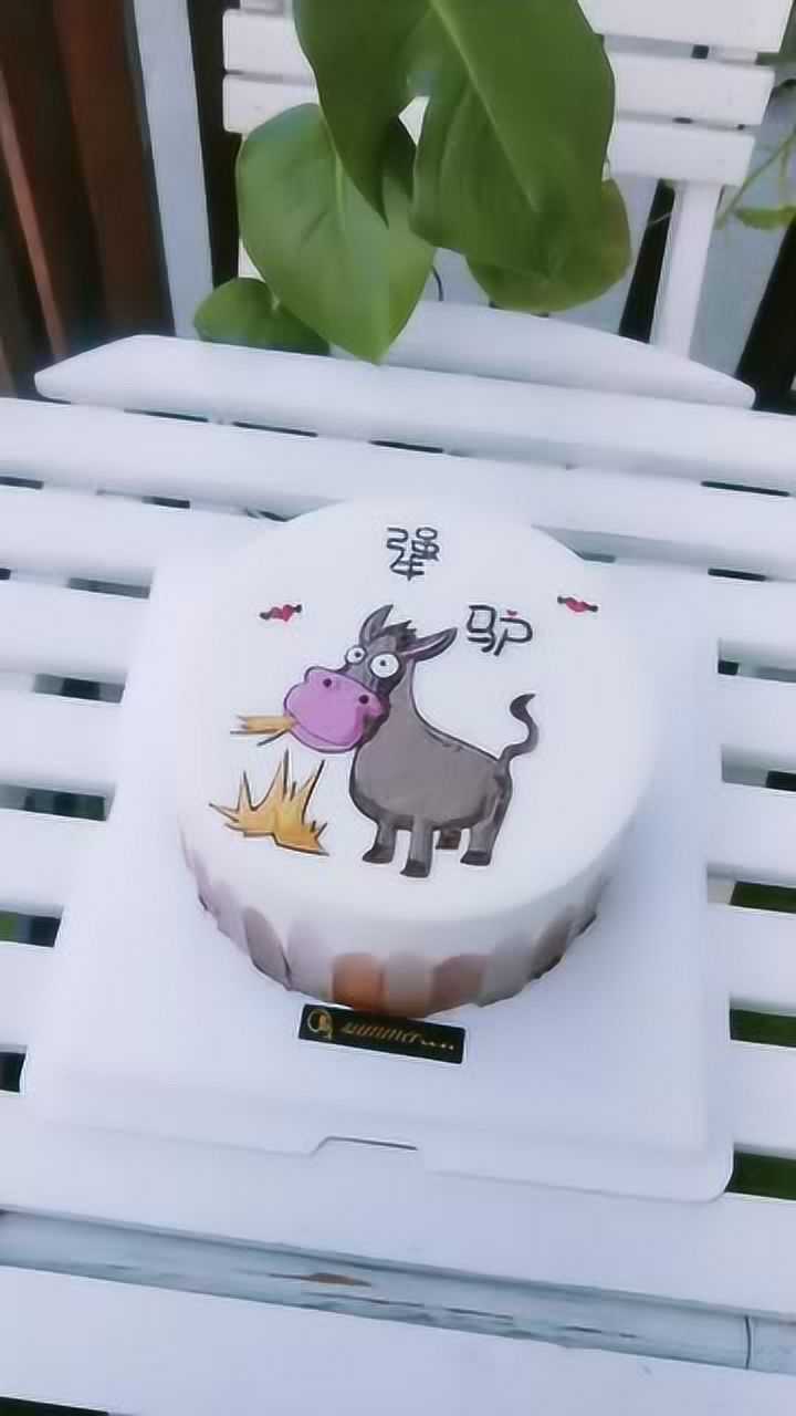 男朋友属驴的想定一个生肖蛋糕你们说我这么做仗义吗