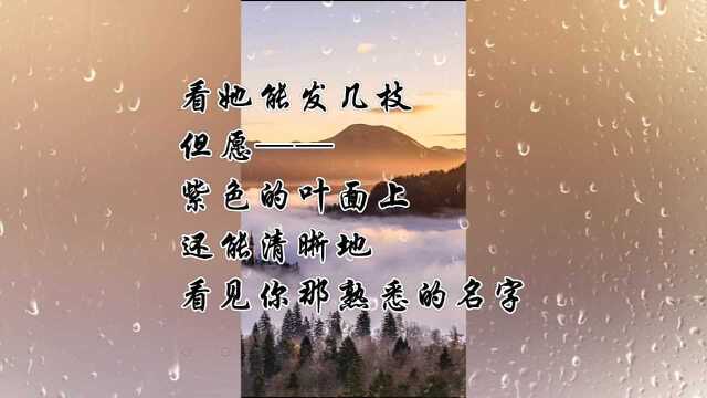 三月,是一滴雨