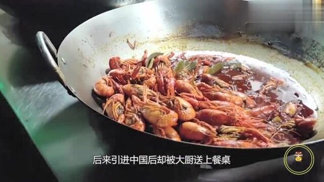 又一生物入侵,被称之为“海菠萝”,如今被吃成20元1个