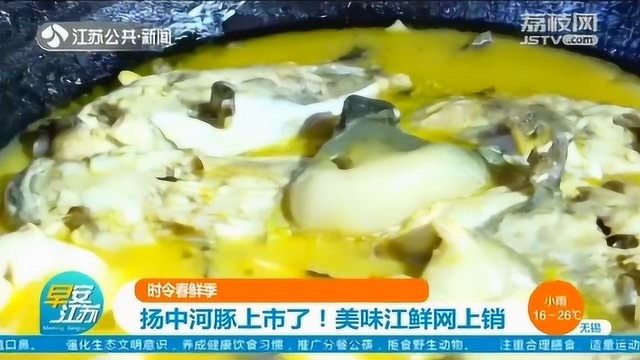 扬中河豚上市!食客蠢蠢欲动 江鲜河鲜网上可点