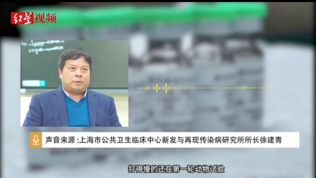 专访徐建青:一期疫苗临床试验3个月无毒副作用可申报二期