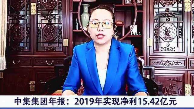 中集集团年报:2019年实现净利15.42亿元