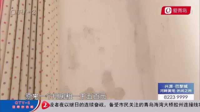 家中漏雨 “元凶”竟是屋顶鸽子屋?