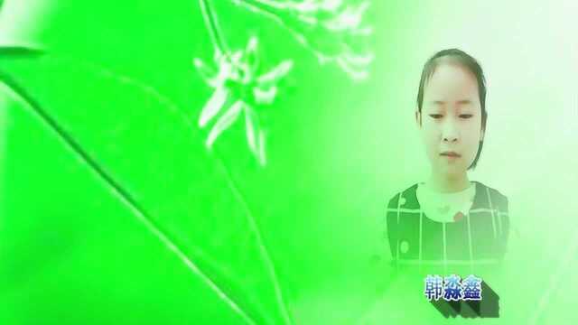 关于清明节的诗歌——《缅怀革命烈士》配乐朗诵