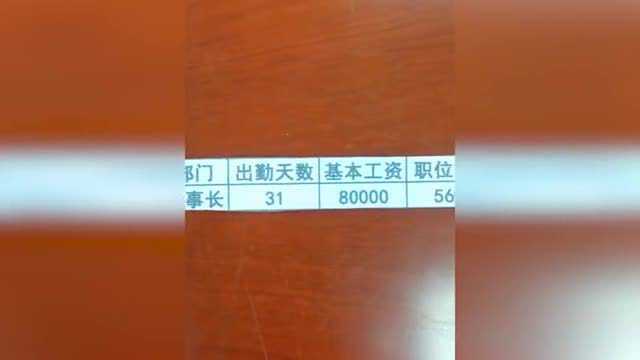 董事长级别的工资条 一个月顶我20年工资