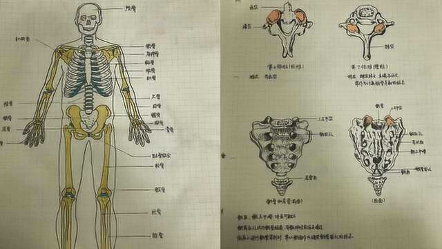 医学生教科书级笔记!手绘如打印,个个都是灵魂画手