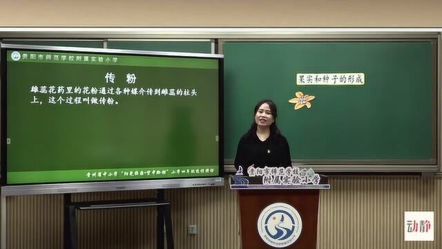 0421003四年级科学果实和种子的形成