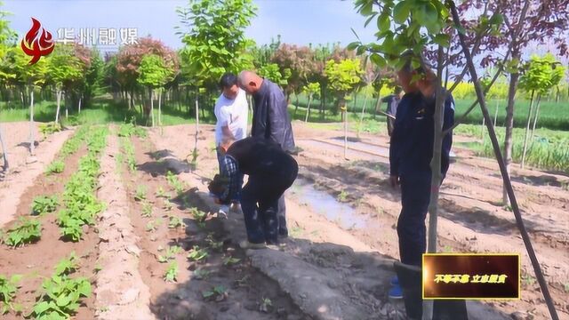 王有根:勤劳致富铺就脱贫路