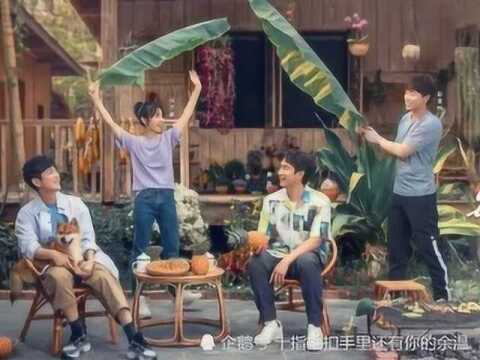 《向往的生活4》劳动节特辑:蘑菇屋的神奇魔法,子枫妹妹搬来梯子