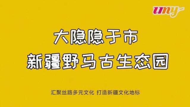 悠迈带你玩转新疆—新疆野马古生态园!