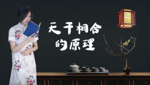 Thumbplayer Poster Plugin Image