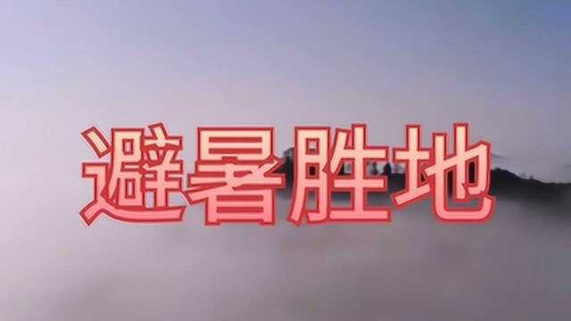 有“清凉世界”美名的莫干山,是避暑胜地,有“江南第一山”的美誉!