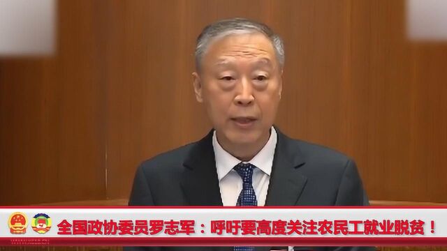 现场!全国政协委员罗志军:呼吁要高度关注农民工就业脱贫!