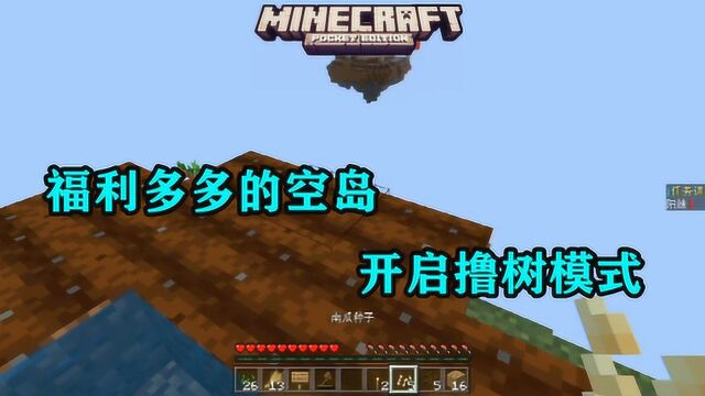 我的世界空岛生存01:福利多多的空岛,开启撸树模式