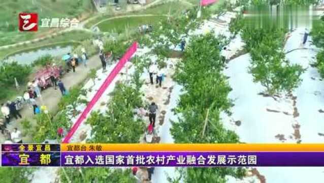 宜都入选国家首批农村产业融合发展示范园