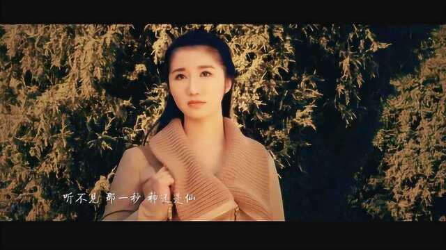 爱上调音师 预告片 (中文字幕)