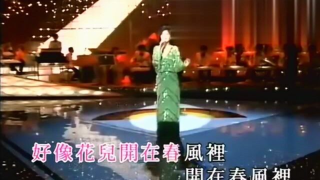 《邓丽君经典歌曲集锦》邓丽君演唱经典曲目《甜蜜蜜》