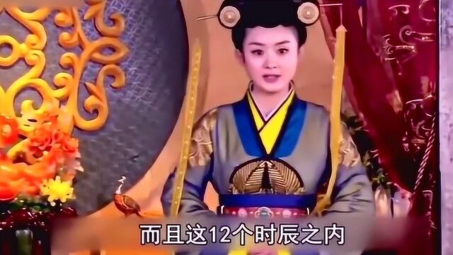 陆贞传奇15:陆贞成八品掌珍,查账时却被宫女糊弄,终于想到一招