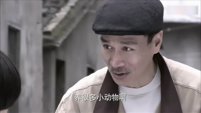 小强想结交朋友,却被嘲笑是笨蛋不会爬树,他拼命学习爬树!