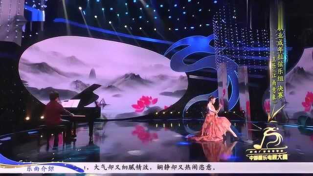 中国器乐电视大赛,美女王乐二胡独奏《江南意象》,真是太好听了