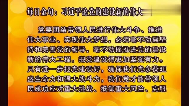 党的建设新的伟大工程