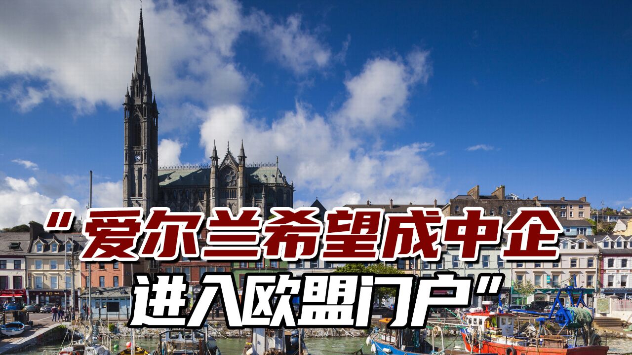 中国成爱尔兰重要贸易伙伴,“爱尔兰希望成中企进入欧盟门户”