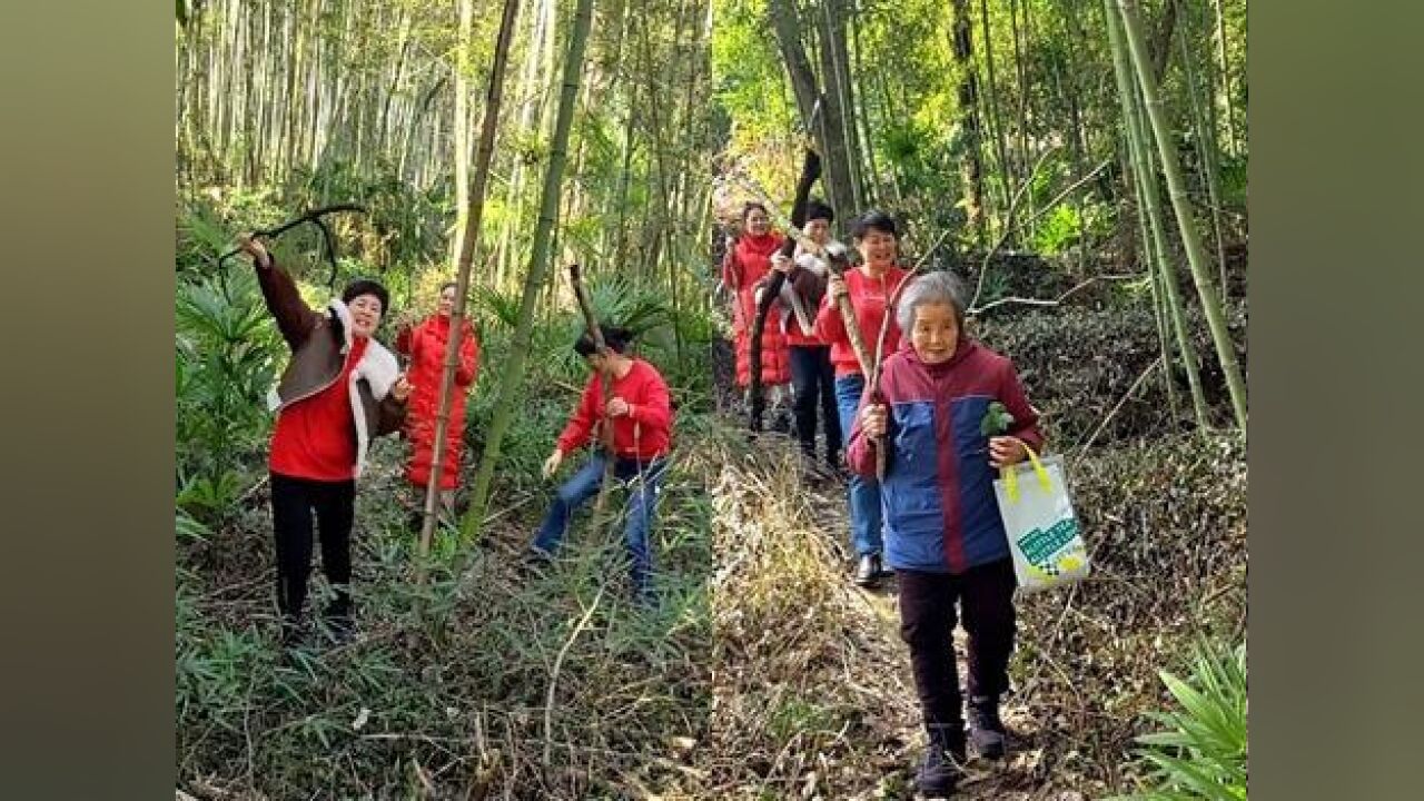 我在桐庐过大年:被天降横“财”砸中,是种什么体验