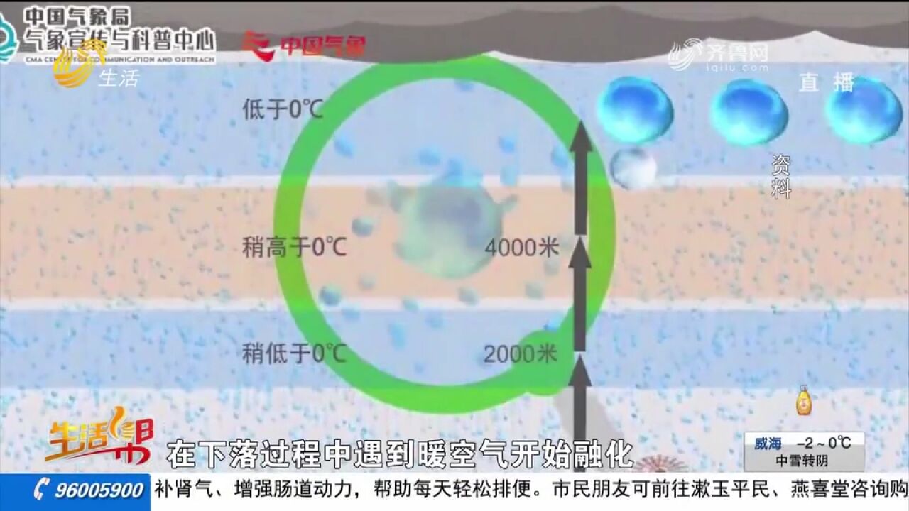 滴水成冰的“冻雨”是什么,是怎样形成的?一个视频给你讲清楚