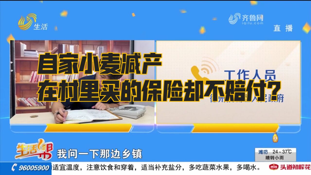 德州陵城区:自家小麦减产,在村里交钱买过保险,如今却不给赔付