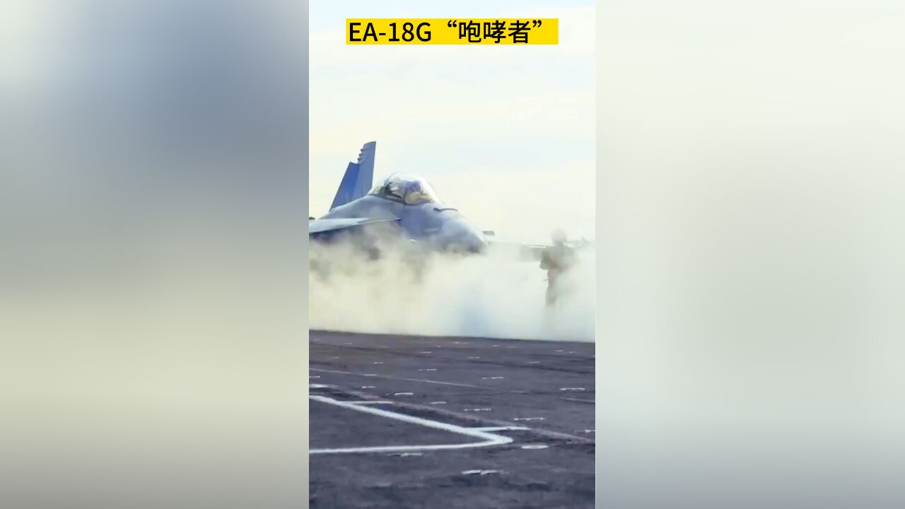 EA18G“咆哮者”电子战机,可干扰 160 公里外雷达电子设施