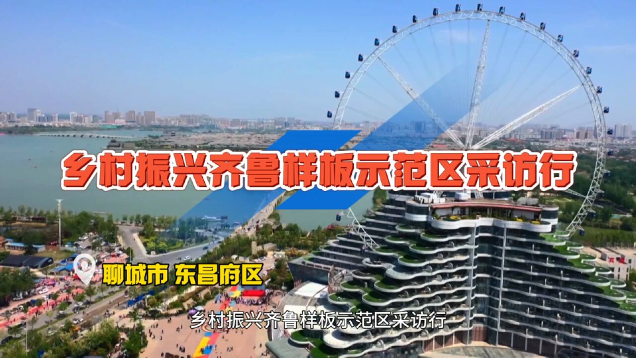 乡村振兴齐鲁样板示范区采访行|聊城市东昌府区:特色产业绘出乡村振兴新图景