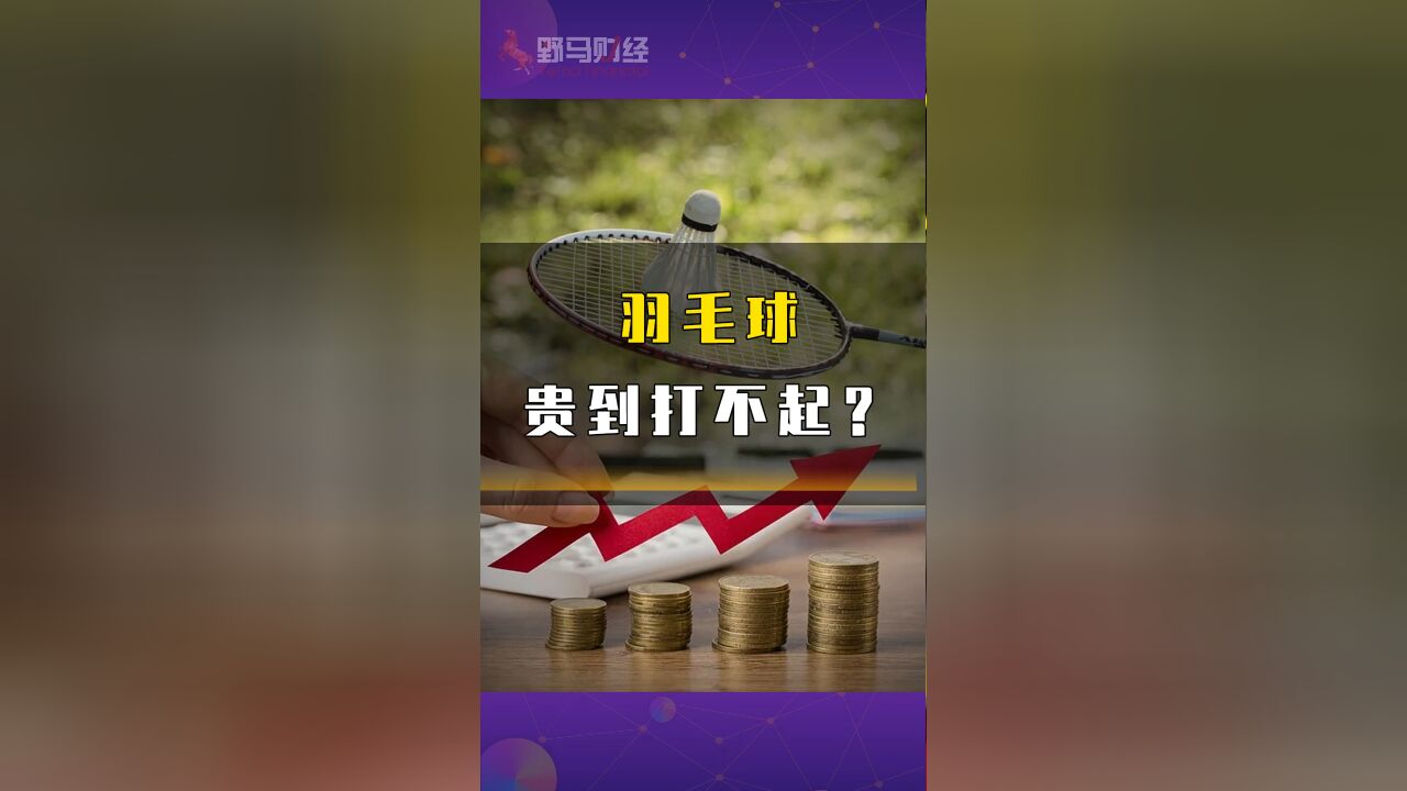 羽毛球贵到打不起?