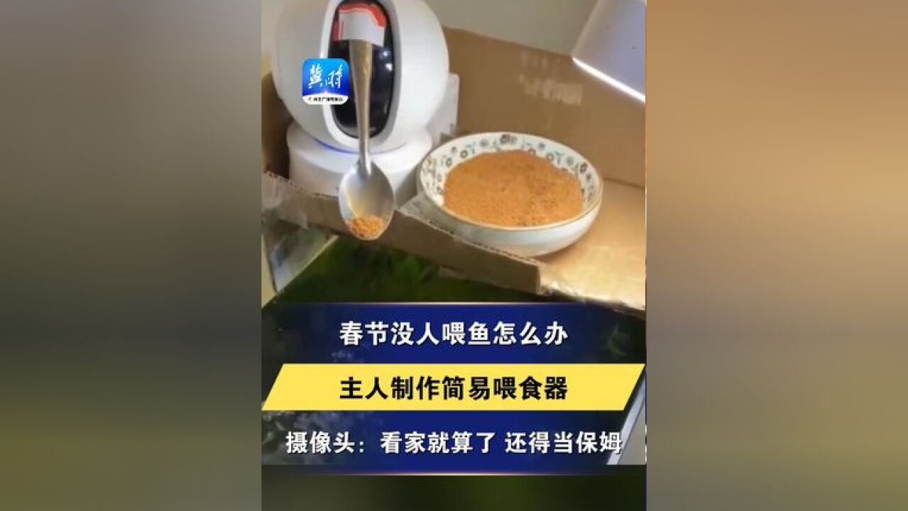 春节没人喂鱼怎么办 主人制作简易喂食器 摄像头:看家就算了 还得当保姆