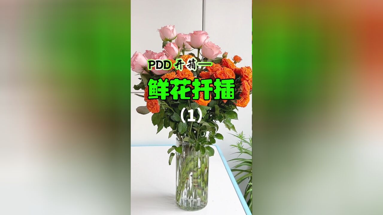 90%的人都不知道:PDD买的鲜花不仅能美化家居,还能扦插繁殖