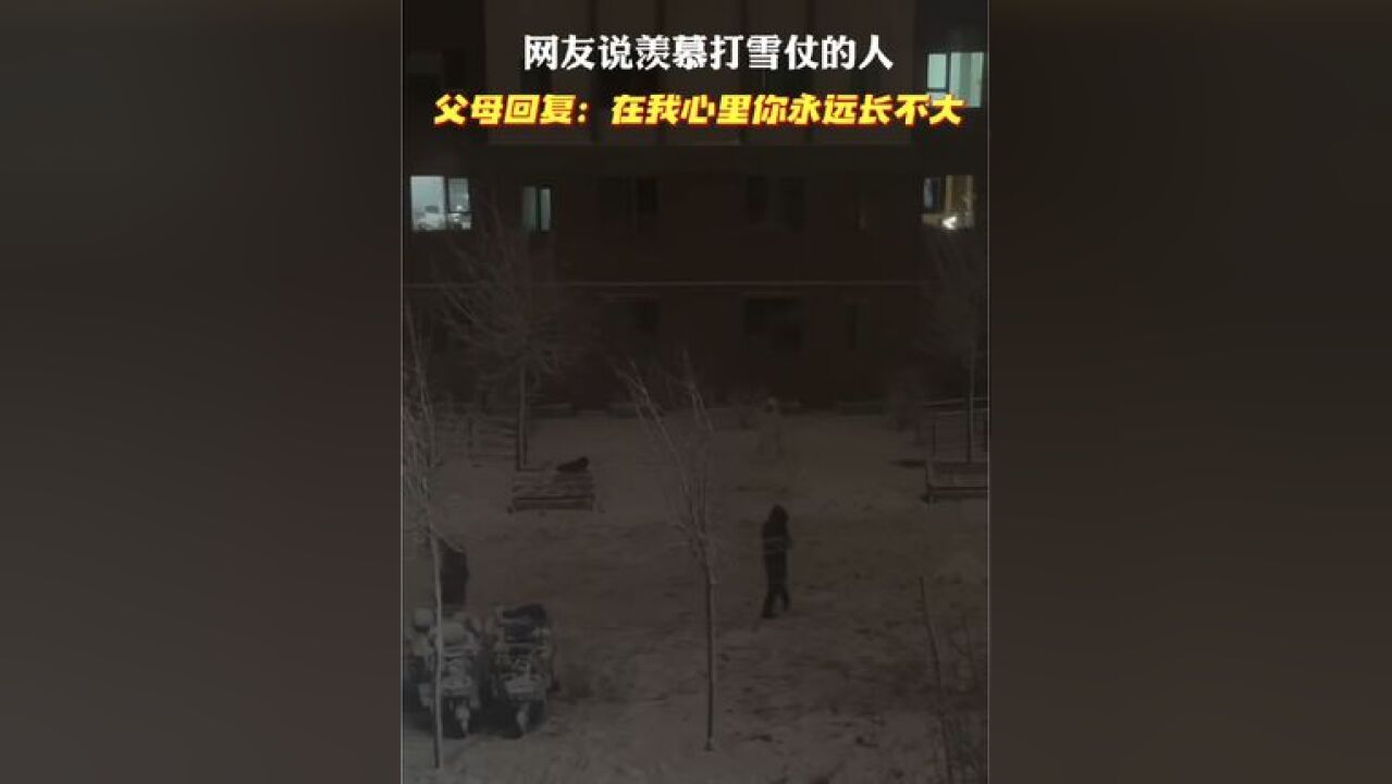 又到了冬天玩雪的时候,且看众人嬉闹其间,网友羡慕,父母回复:你永远也长不大