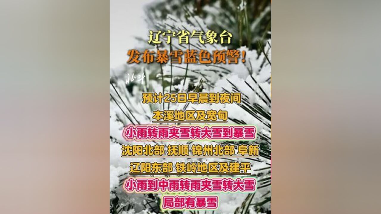 辽宁省气象台发布暴雪蓝色预警!