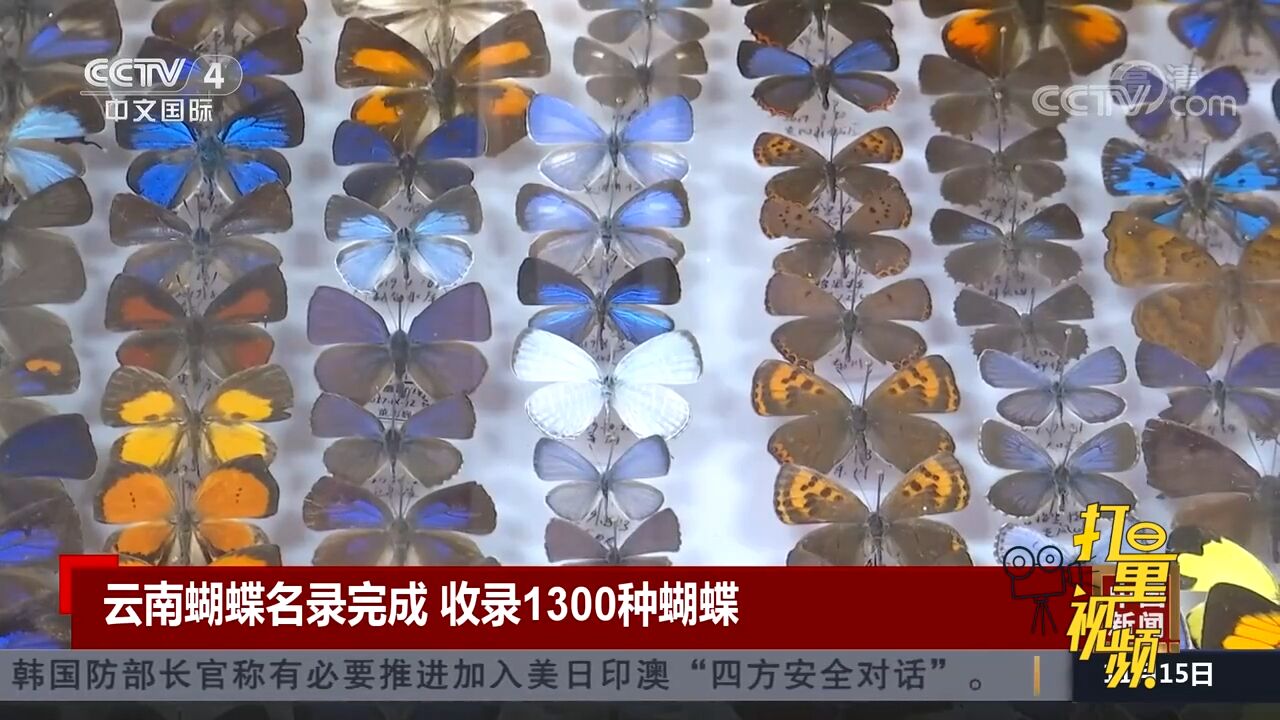 中科院昆明动物研究所等完成云南蝴蝶名录,收录1300种蝴蝶