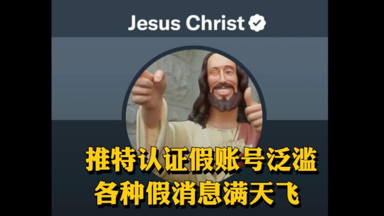 推特认证收费后,假账号满天飞,耶稣教皇特斯拉纷纷被恶搞