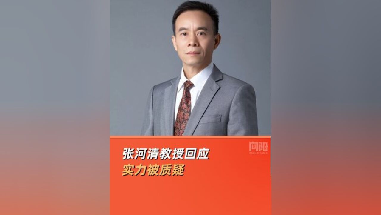 张河清教授回应实力被质疑