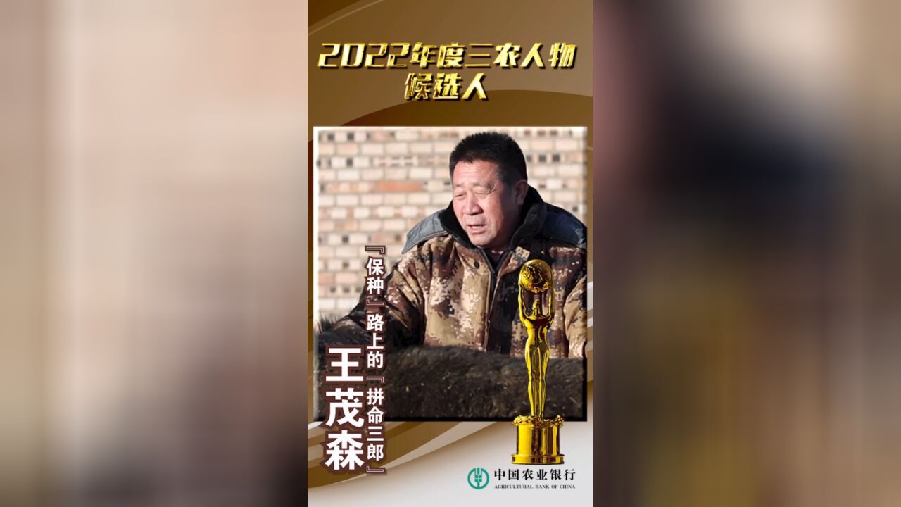 三农人物候选人丨王茂森:“保种”路上的“拼命三郎”