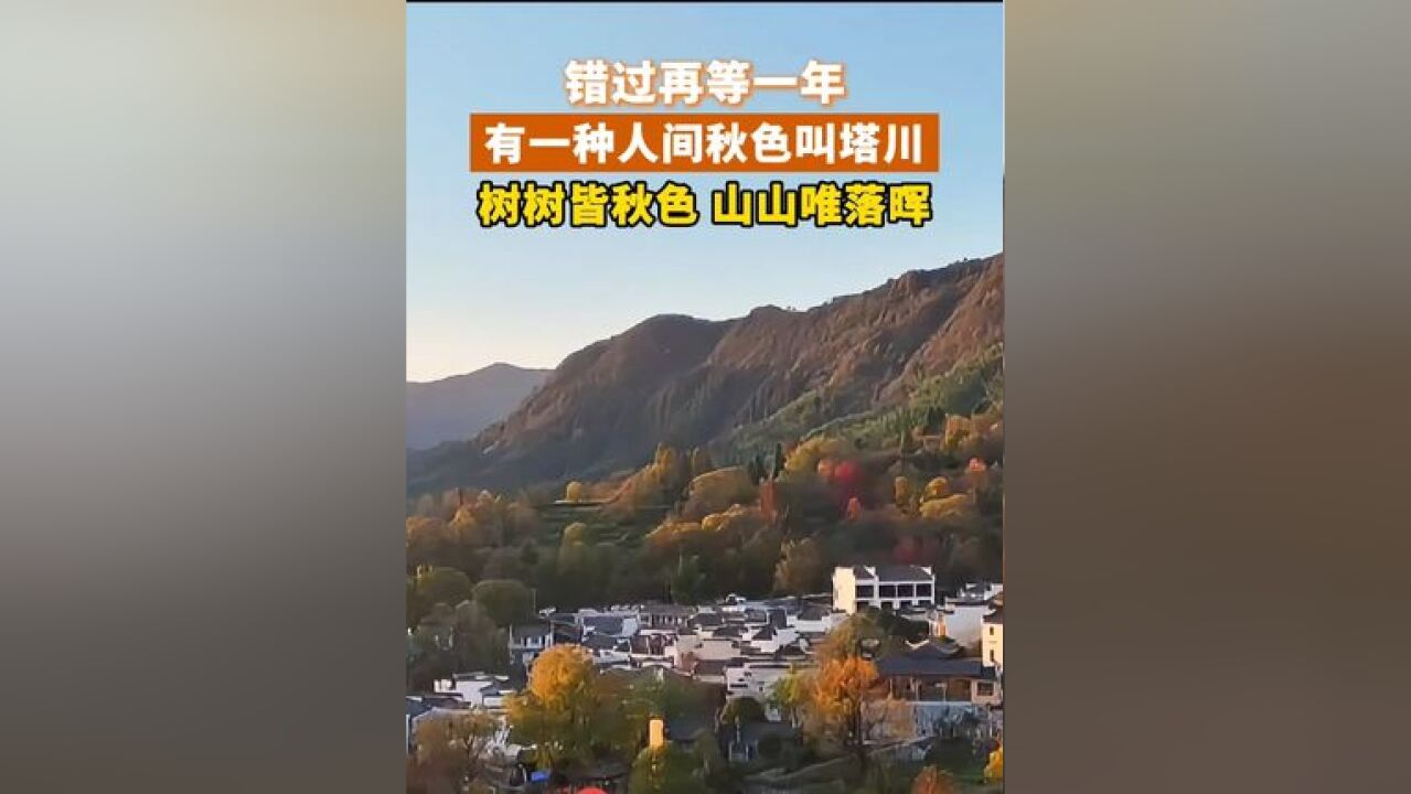 错过再等一年,有一种人间秋色叫塔川,树树皆秋色,山山唯落晖