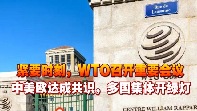 紧要时刻,WTO召开重要会议,中美欧达成共识,多国集体开绿灯