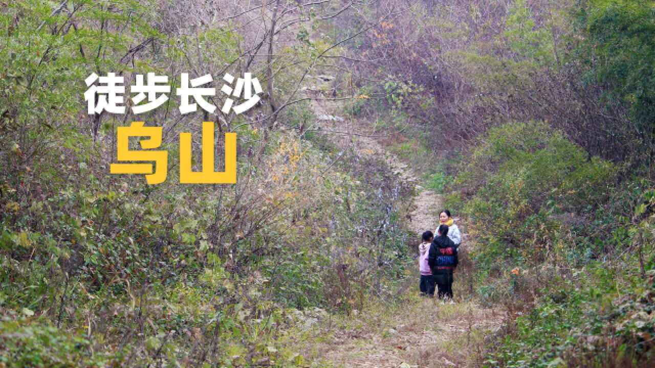 徒步长沙之乌山森林公园