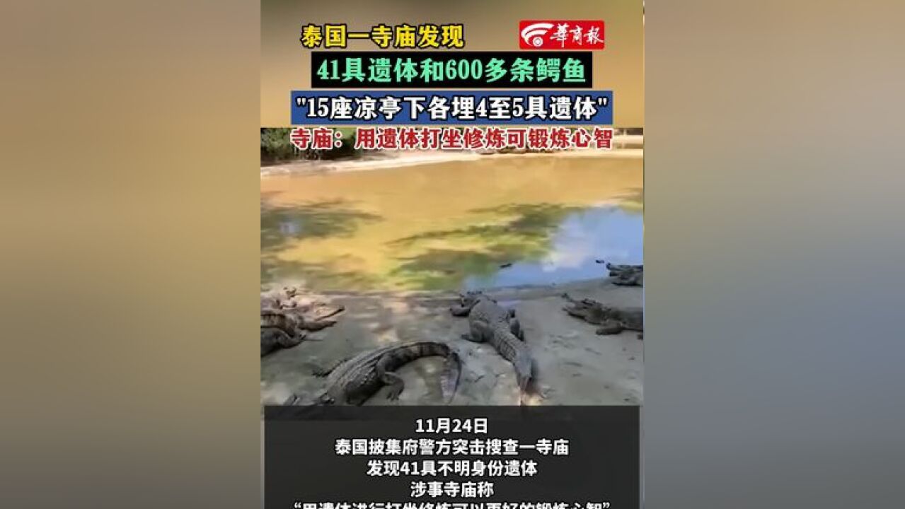 泰国一寺庙发现41具遗体和600多条鳄鱼“15座凉亭下各埋4至5具遗体”寺庙:用遗体打坐修炼可锻炼心智