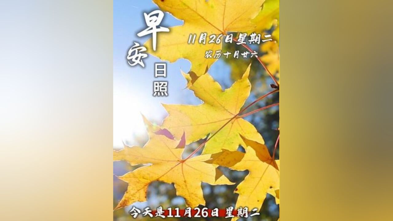 今天是11月26日,星期二,农历十月廿六,早安!愿你的一天充满阳光和欢笑,每一步都走得坚定而有力,祝你心想事成,万事如意